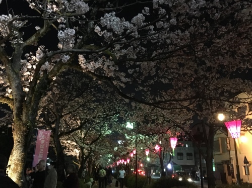b0330040_22501358.jpeg
