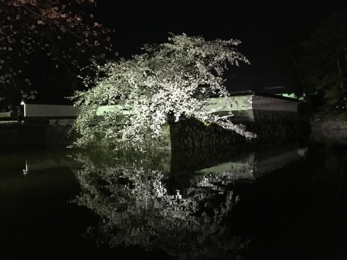 b0330040_22522626.jpeg
