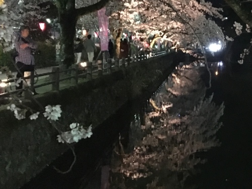 b0330040_22533159.jpeg
