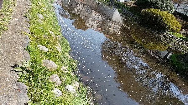b0369040_16395992.jpg