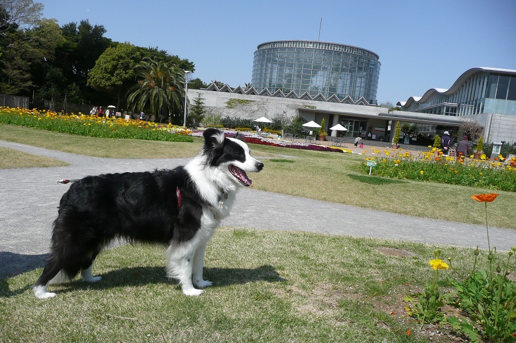 c0147241_16094658.jpg