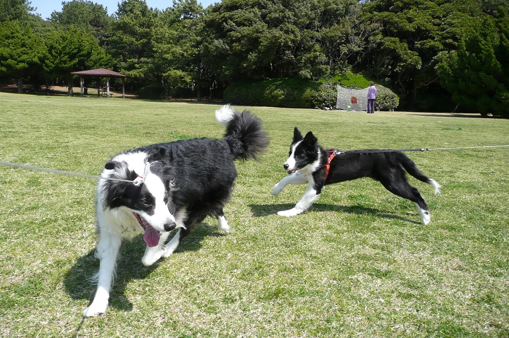 c0147241_16095012.jpg