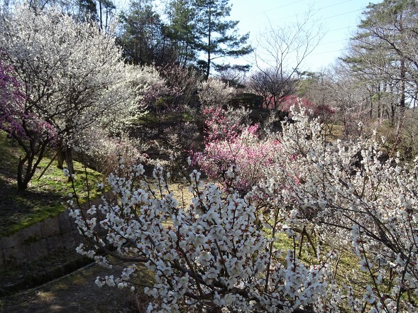 b0299042_23003818.jpg