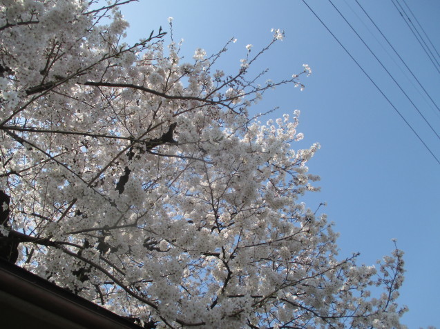 a0307846_09480902.jpg