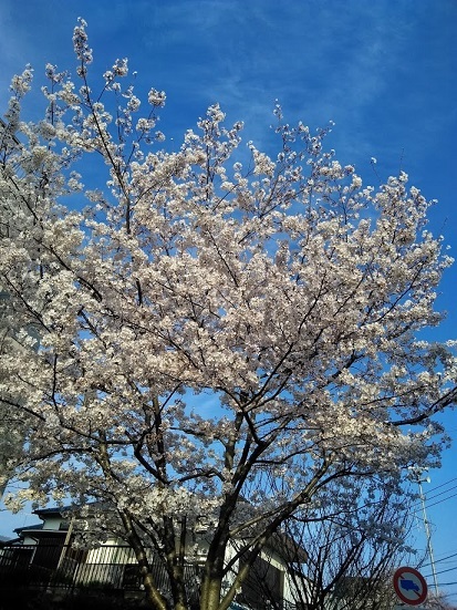 b0052652_21004879.jpg