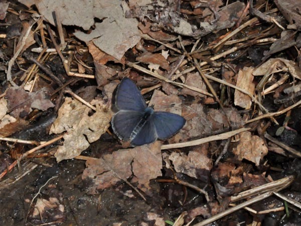 c0045352_18263987.jpg