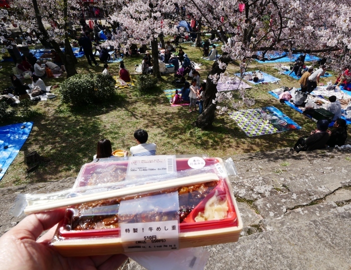 　　和歌山城公園へ花見に　　２０１８-０４-０２　００：００ _b0093754_23251092.jpg