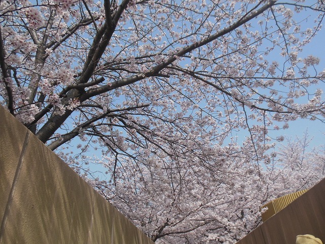 d0006756_18101422.jpg