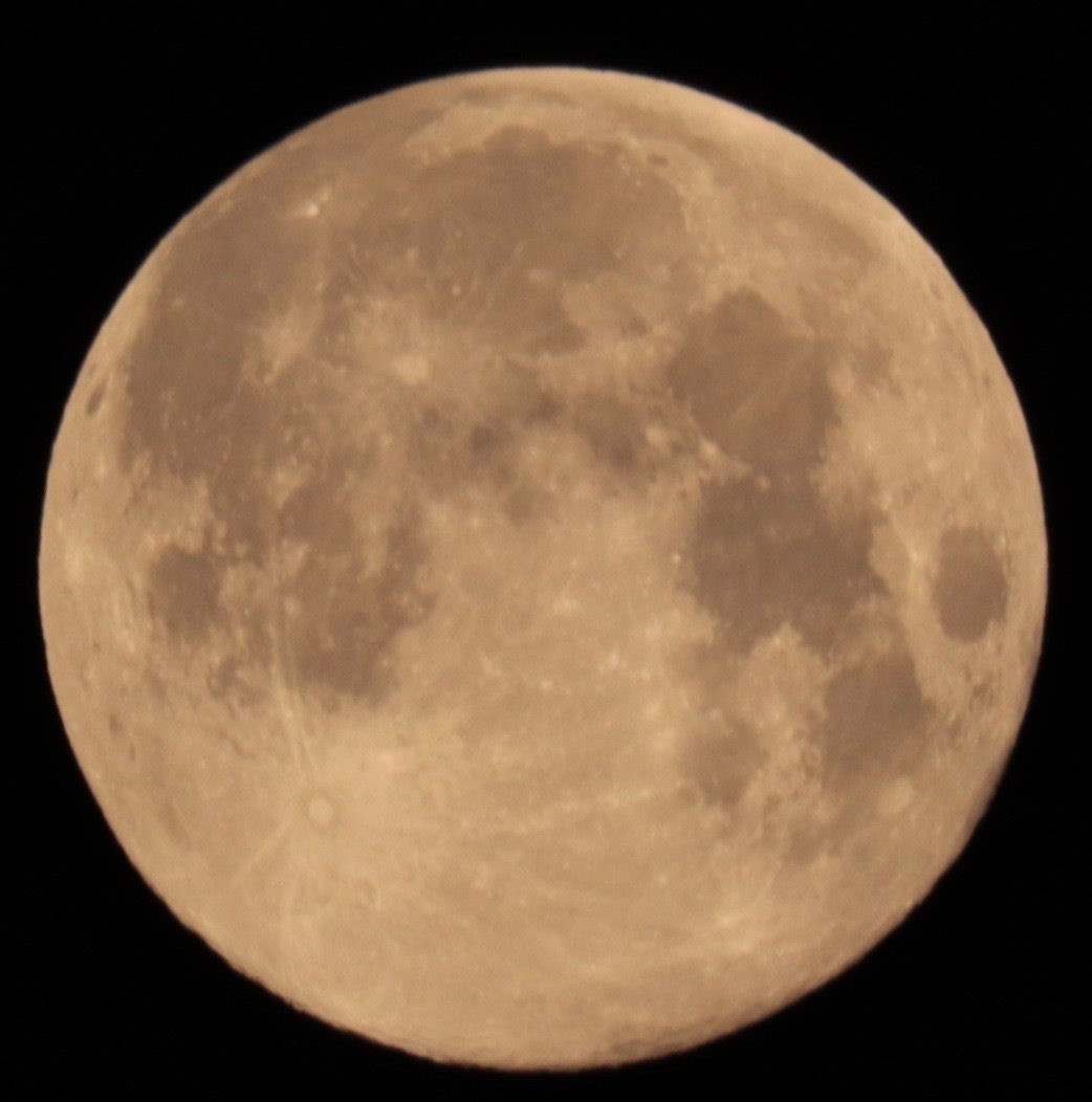 a0248459_19204712.jpg