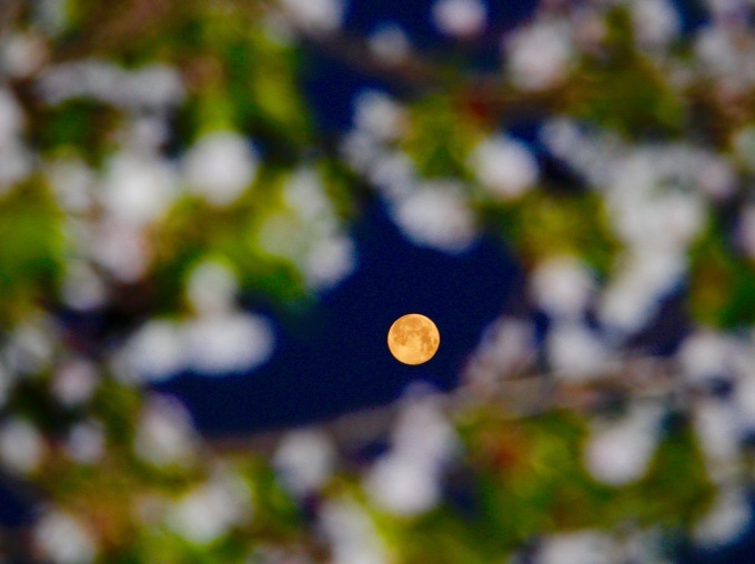 a0248459_19214251.jpg