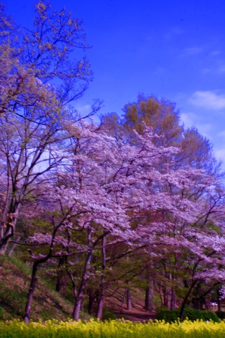 a0248459_19271217.jpg
