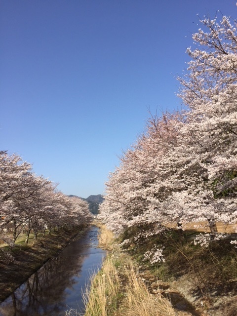 b0186959_14384360.jpg