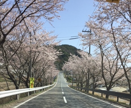 b0186959_14391361.jpg