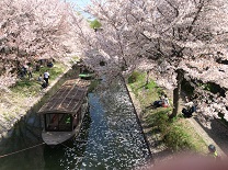 e0231660_78470.jpg