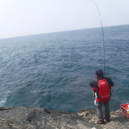 d0174683_01494015.jpeg