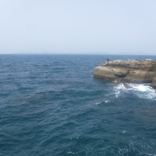 d0174683_01581801.jpeg