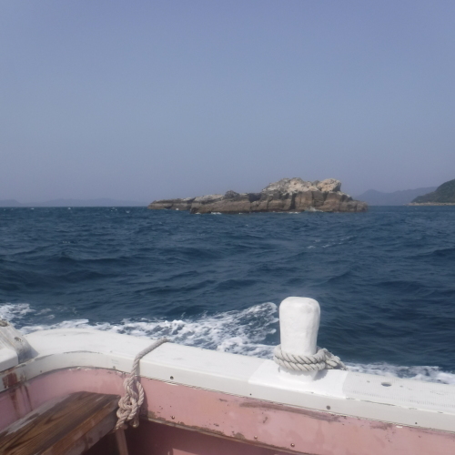 d0174683_02131579.jpeg