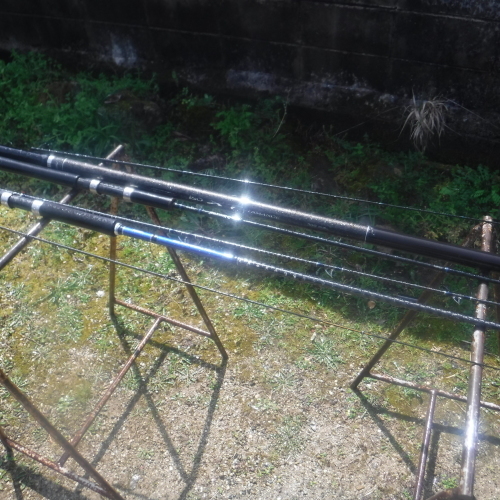 d0174683_22500091.jpeg
