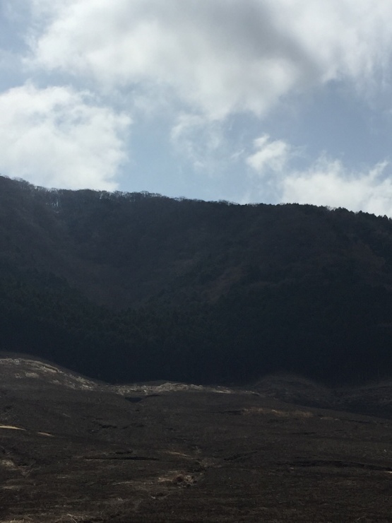 b0098584_15585522.jpeg