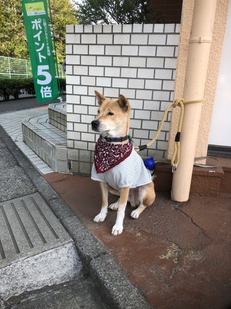 c0332184_11540636.jpeg