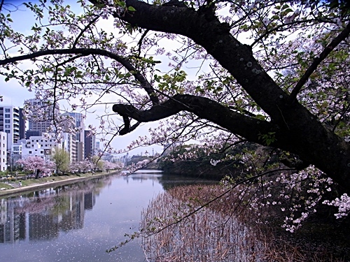 e0086885_21060719.jpg