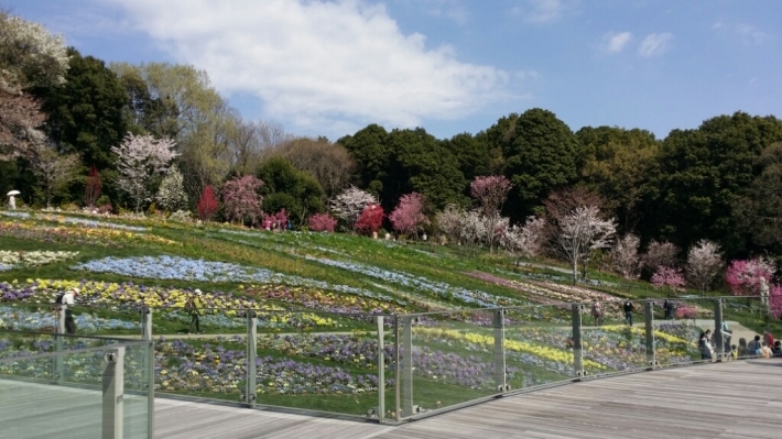 b0169887_22294462.jpg