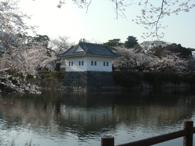 e0114588_20005452.jpg