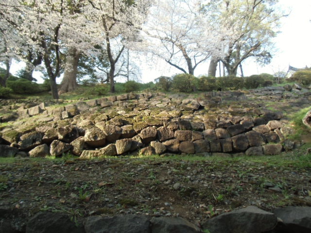 e0114588_20015749.jpg