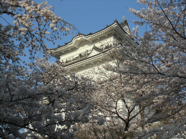 e0114588_20021060.jpg