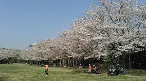 c0049489_12512620.jpg