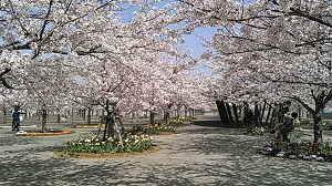 c0049489_12521121.jpg