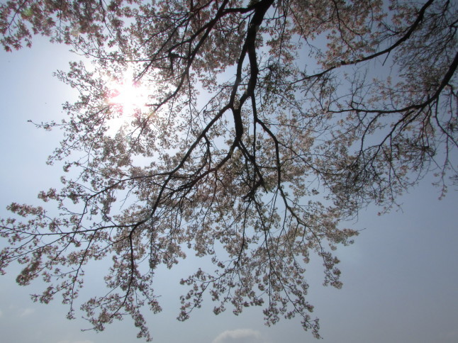 c0335990_16515276.jpg