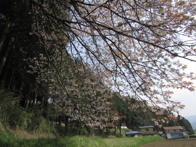 c0335990_16520503.jpg