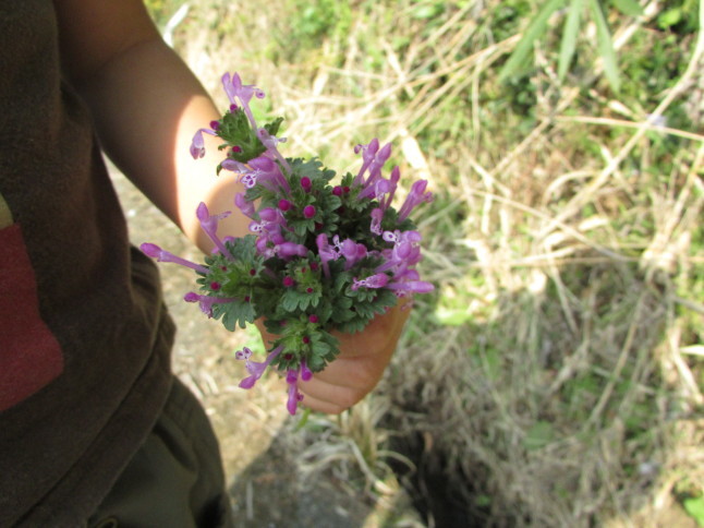 c0335990_16563154.jpg