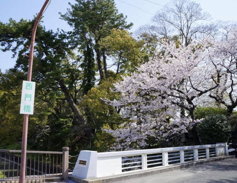 c0122791_14073483.jpg