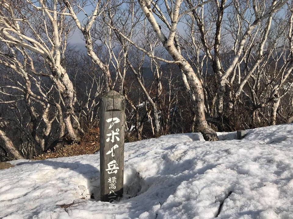 アポイ岳に行ってきました_d0198793_10550479.jpg