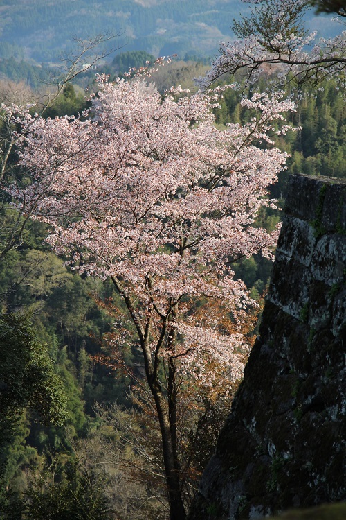 天空の城3_a0333195_07293843.jpg