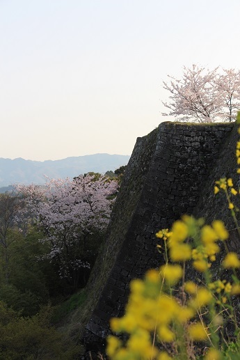 天空の城3_a0333195_07311311.jpg