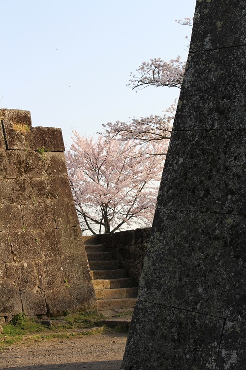 天空の城3_a0333195_07324289.jpg
