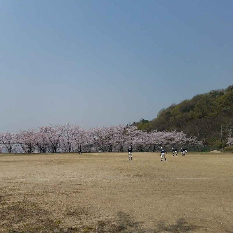 e0216496_13523689.jpeg