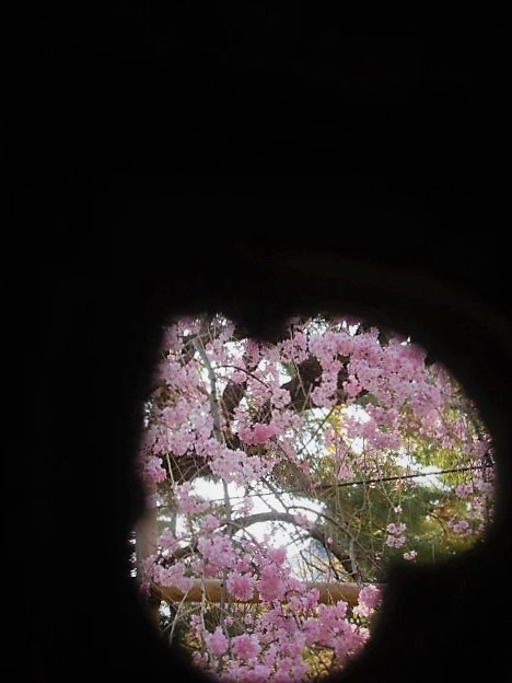 c0054498_00572391.jpg