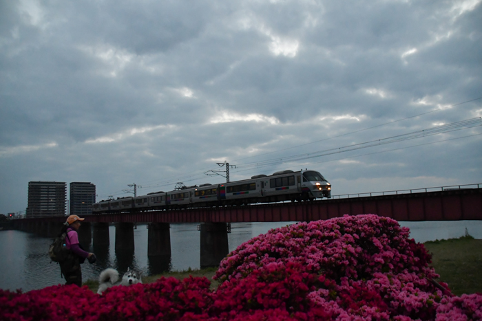 c0049299_21424814.jpg