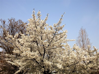 c0221299_17354282.jpg