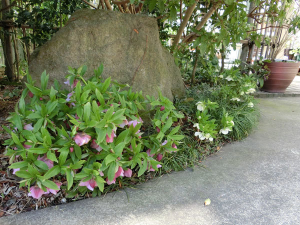 e0131399_23303674.jpg