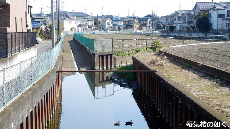 「月がきれい」舞台探訪016 桜の季節に新河岸川氷川橋から起点の碑までを巡って(H300325)_e0304702_22244795.jpg