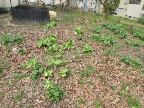 a0203003_11215570.jpg