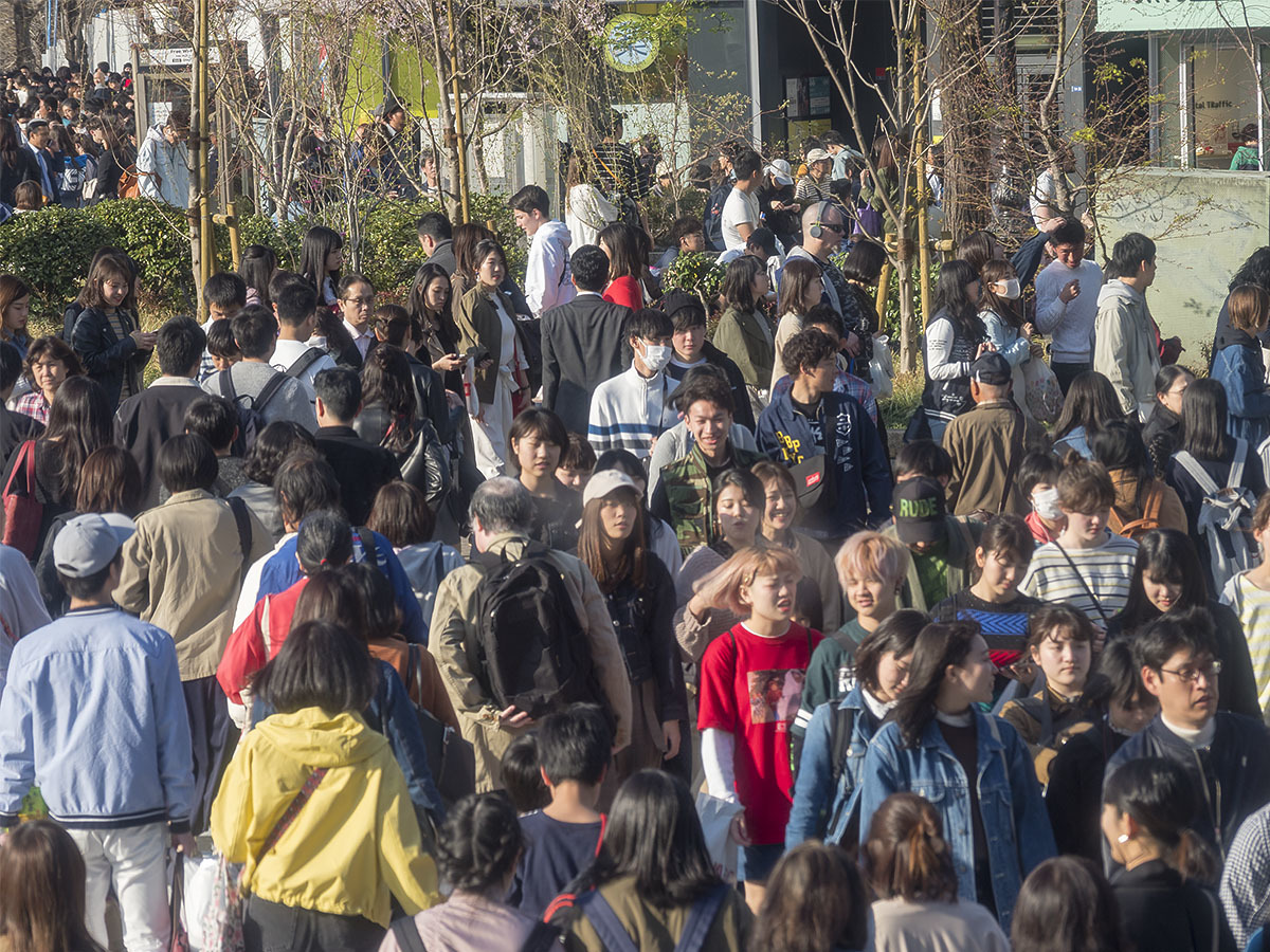 桜も終わり…　　４月１日（日）　6367_b0069507_03101061.jpg