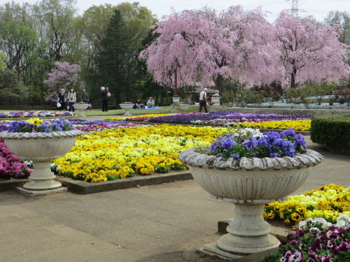 アトリエ蒼スケッチ倶楽部　智光山公園でスケッチ会_b0129807_16045085.jpg