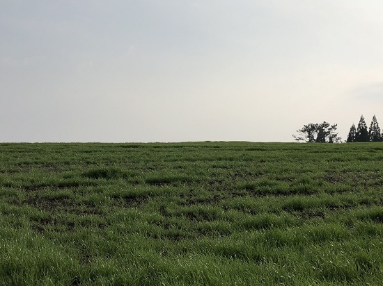 f0364707_16205428.jpg