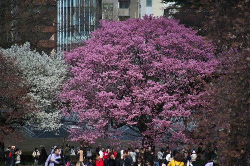 a0263109_12475084.jpg
